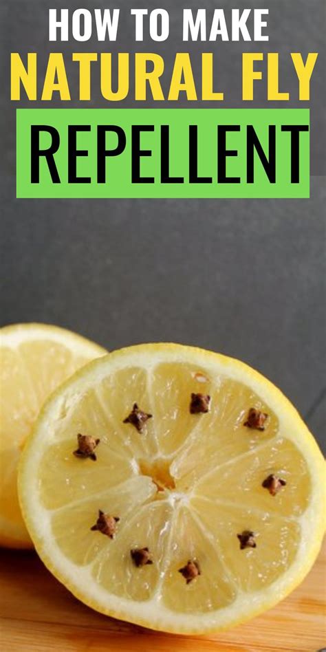 Fly Repellent Diy Easy Trap Traps Homemade Traps Home Remedies For Flies