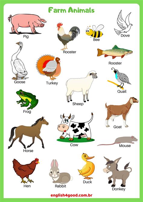 Farm Animals - English4Good - Vocabulary practice