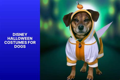 Spooky And Adorable Disney Halloween Costumes For Dogs: Dress Up Your ...