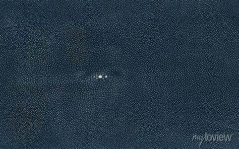 Real shagreen stingray skin texture dark blue • wall stickers wallpaper, vintage, textured ...