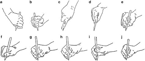 Functional Development | Obgyn Key