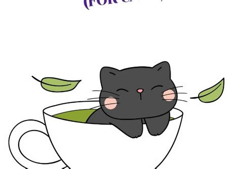 Catnip Tea Recipe (For Cats!) - Wet Noses Pet Sitting