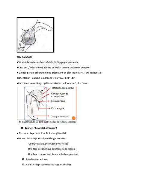 SOLUTION: Anatomy Anatomy Anatomy Anatomy Anatomy Anatomy Anatomy Anatomy Anatomy Anatomy9 ...