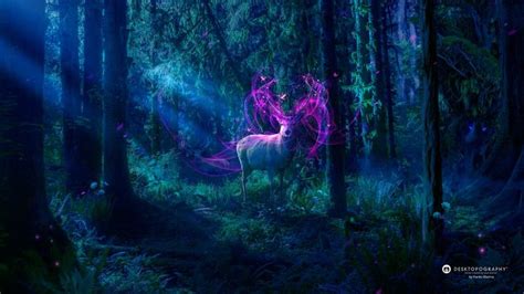 Magical forest - Desktopography | Magical forest, Magic forest, Forest