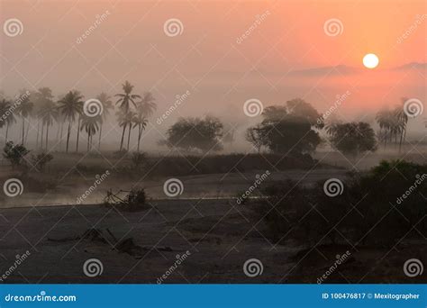 Jungle Sunrise stock image. Image of mexico, outdoor - 100476817