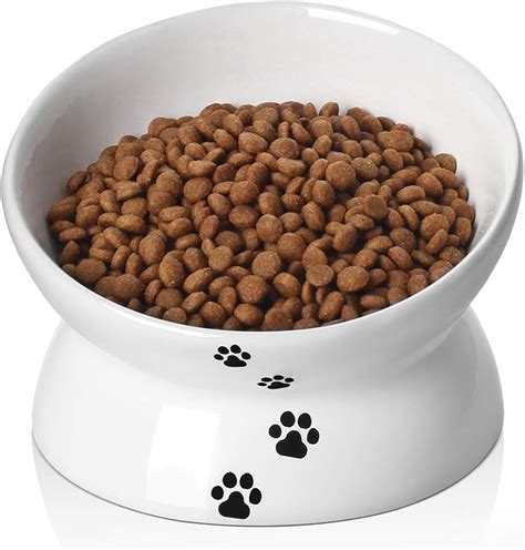 The Best Disposable Cat Food Bowls - The Beauty Life