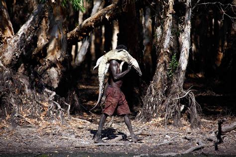 Australian Aborigines Hunting