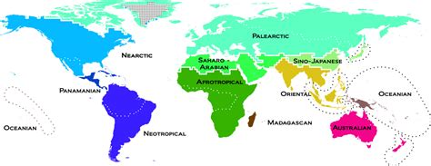 Scientists nearly double the number of biogeographic realms