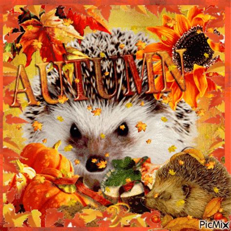 Hedgehogs in Autumn with leaves - PicMix