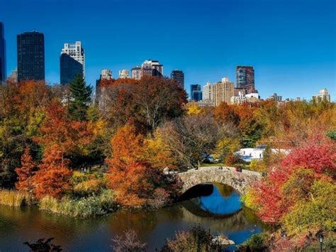 22 Central Park Attractions for Toddlers in New York City | Park in new ...