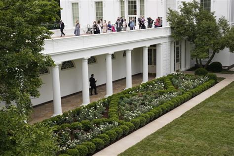 Melania Trump Announces White House Rose Garden Before And After