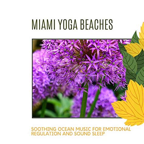 Play Miami Yoga Beaches - Soothing Ocean Music for Emotional Regulation ...