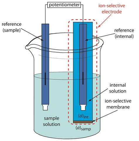 11.2: Potentiometric Methods - Chemistry LibreTexts