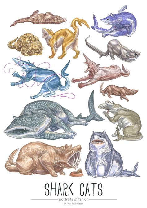 BRYNN METHENEY: All 12 Shark Cats species from the 2014 calendar...