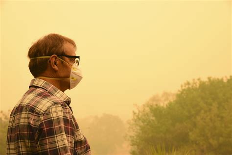 Fighting the health effects of wildfire smoke in Canada | Healthing.ca