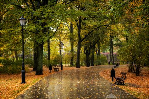 Rainy Autumn Day - Landscape & Rural Photos - Darkelf Photography