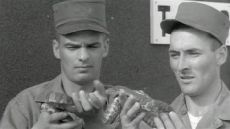 Army video reveals what Ranger School training was like in 1953