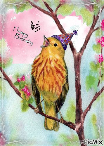 Happy Birthday Bird Pictures, Photos, and Images for Facebook, Tumblr ...