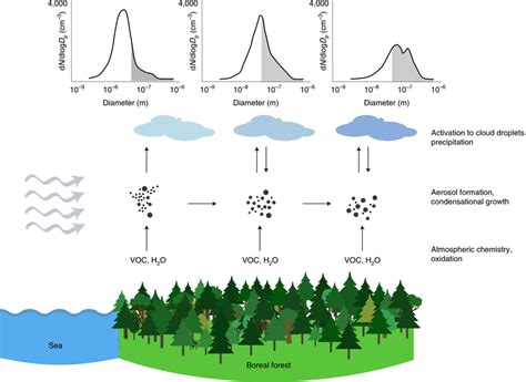 Schematic representation of processes affecting aerosols and clouds... | Download Scientific Diagram