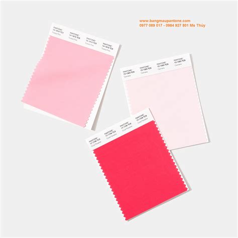 Thẻ màu Pantone Polyester Swatch Card ( TSX ) - Pantone Dĩnh Trần