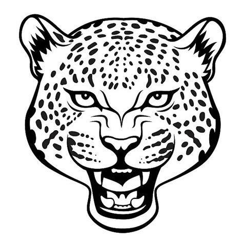 2,500+ Jaguar Head Stock Illustrations, Royalty-Free Vector Graphics ...