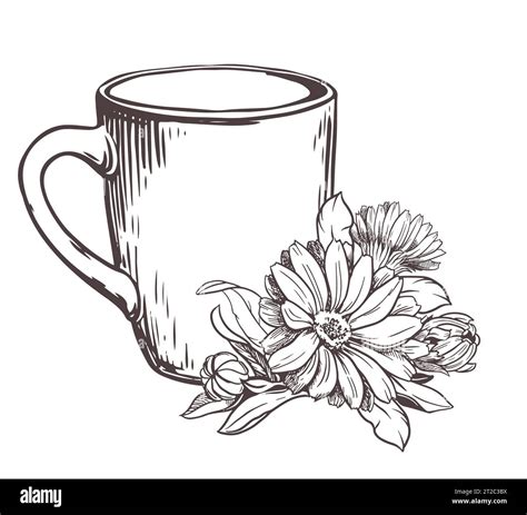 White ceramic cup with herbal tea with calendula flowers on a white background. Vector ...