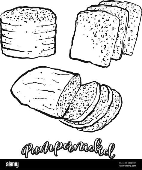 Pumpernickel food sketch separated on white. Vector drawing of Rye, usually known in Germany ...