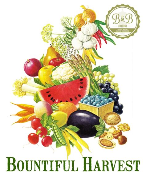 Vintage Bountiful Harvest Fruit Vegetable Print Digital Download, Jpeg ...