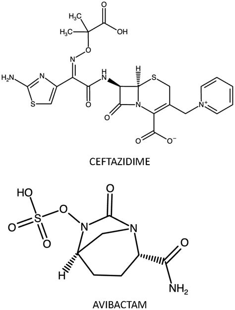 Antibiotics | Free Full-Text | Ceftazidime/Avibactam and Meropenem ...