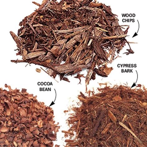 Types of mulch and why you should use them – Artofit