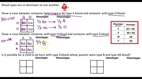 Codominance Blood Type Punnett Square