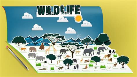 Illustration Vector Design Concept of Animal Wildlife Pop Up Book Stock Vector - Illustration of ...