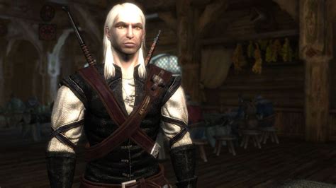 Witcher 1 flash mod - freelancesany