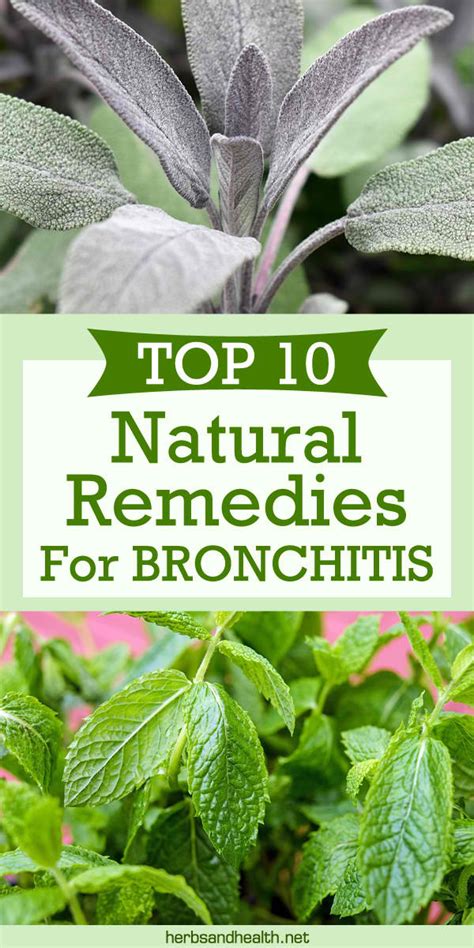 Herbs Health & Happiness Top Ten Natural Remedies For Bronchitis ...