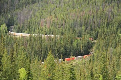 Spiral Tunnels (Yoho National Park) - 2021 All You Need to Know BEFORE You Go | Tours & Tickets ...