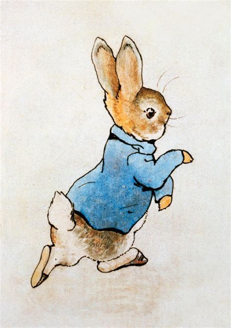 Peter Rabbit Drawing at GetDrawings | Free download