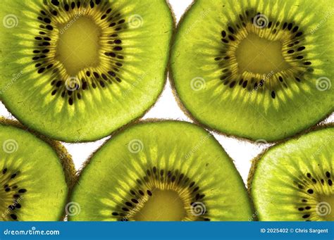 Kiwi Fruit Slice Stock Photography - Image: 2025402