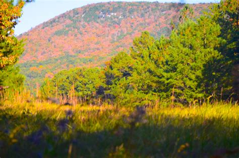 Photo Essay: Cheaha Falls Hike Autumn 2013 | The Locust Fork News-Journal