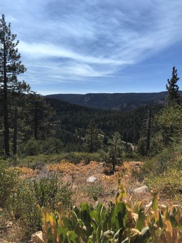 Best 10 Hikes and Trails in Donner Memorial State Park | AllTrails