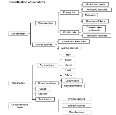 Classification of feed stuffs Different forms of fodder/ products for ...