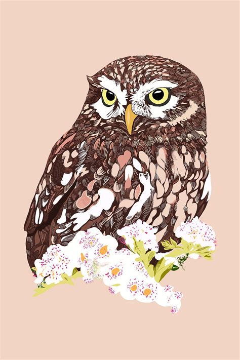 "My Hedwig" by Julie Lockley | Owl art print, Owl posters, Illustration