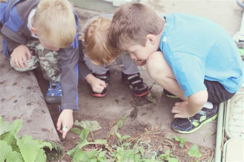 sassafras: sidewalk chalk scavenger hunt :: kids