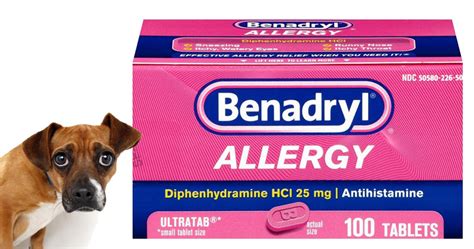 Can I Give My Dog Benadryl? If So How Much? – Veterinary Jobs