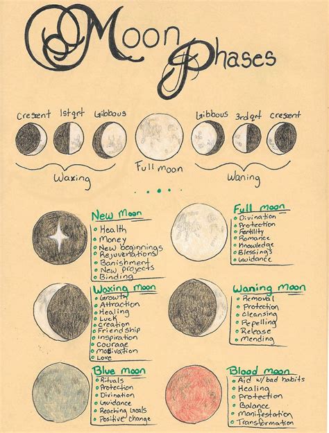 Pagan/wiccan Phases of the Moon Printable Bos Page - Etsy