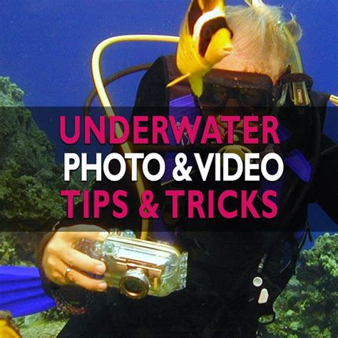 Underwater Photography & Video Tips & Tricks | Underwater photography, Video photography ...