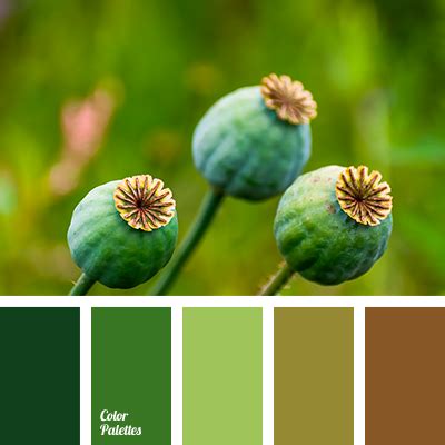 What Color Matches With Dark Green - Infoupdate Wallpaper Images