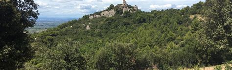 Gigondas - Rocher du Midi: 18 Reviews, Map - Vaucluse, France | AllTrails