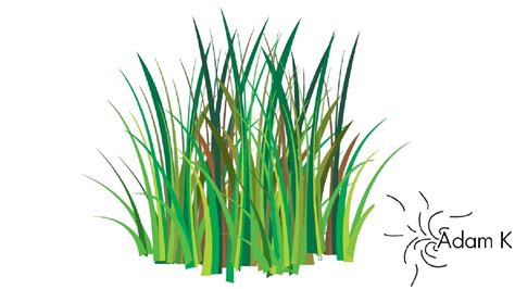 Grass Drawing at GetDrawings | Free download