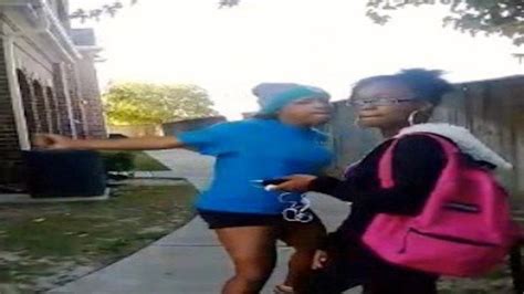 Sharkeisha Fight Video: Image Gallery (List View) | Know Your Meme