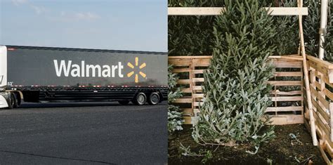 Walmart Introduces Live Christmas Delivery Service